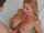 mature blonde puremature