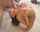 pov squirt