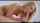 What's the name of this porn actor?
