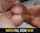 brazzers