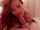 blowjob amateur homemade