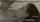 What's the name of this porn actor?