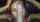 What's the name of this porn actor?