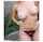 What's the name of this porn actor?