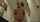 What's the name of this porn actor?