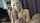 clips4sale
