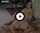 21sextury anal