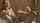 Where can I find this video?
