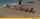 lesbian beach