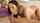 21sextury brunette