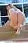 ftv ftvgirls