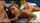 What's the name of this porn actor?