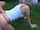 german amateur blond