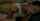 Where can I find this video?