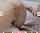 Where can I find this video?