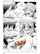 name of manga