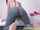 webcam teen