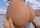 public anal