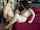 What's the name of this porn actor?