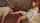 What's the name of this porn actor?