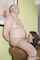 What's the name of this porn actor and video?