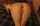 What's the name of this porn actor?