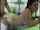 amateur brunettes roleplay