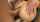 anal pornstar