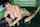 What's the name of this porn actor?