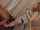What's the name of this porn actor?