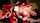 r18 r18.com