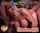 brazzers