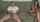 Where can I find this video?