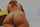 What's the name of this porn actor?