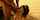 What's the name of this porn actor?