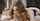 college anal tushy