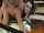 What's the name of this porn actor?