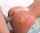 bangbros doggy babes