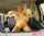 Name of the pornstar and video full pls