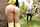 outdoor porn ad reality kings