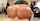 anal
