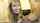 chaturbate