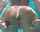 What's the name of this porn actor?
