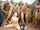 gangbang interracial blowjob