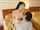 taiwan korean girlfriend