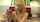 taboo handjob teen