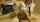 camgirl webcam teen