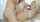 anal blonde tushy