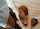 What's the name of this porn actor?