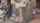 What's the name of this porn actor?